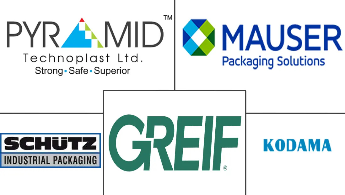 亚太地区硬质散装包装市场规模