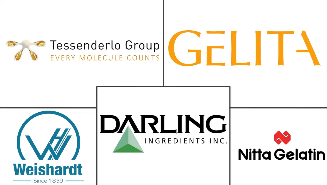 北美胶原蛋白市场规模和份额