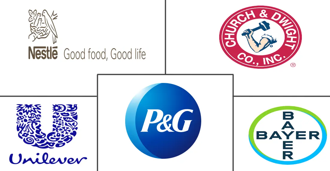 北美产前补充剂市场规模和份额分析