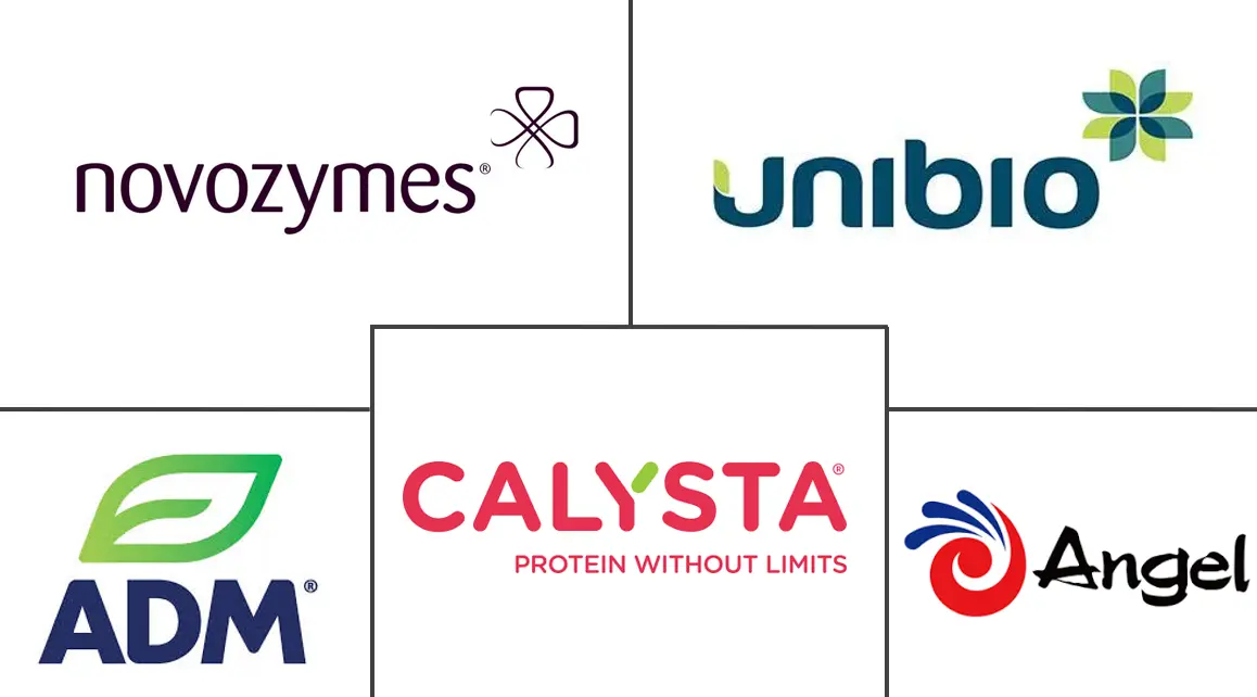 单细胞蛋白市场规模和份额