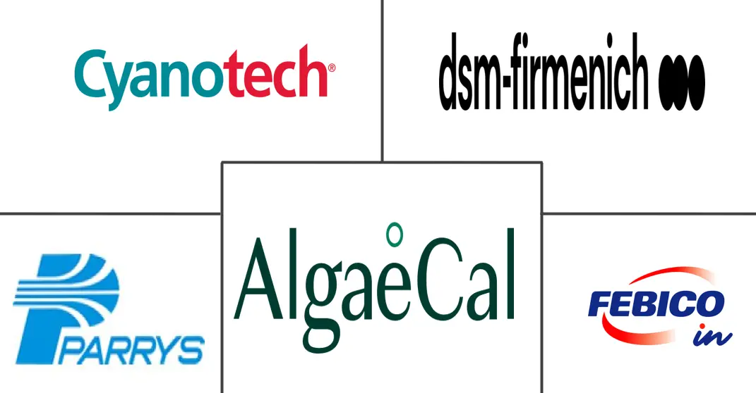 藻类补充剂市场规模和份额