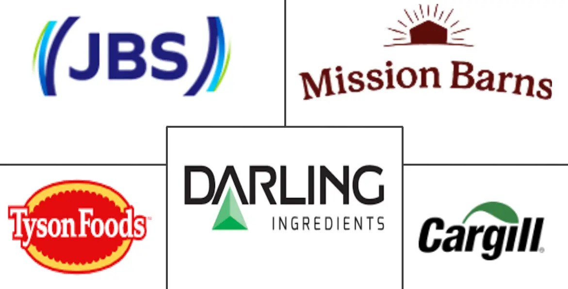 食用动物脂肪市场规模和份额