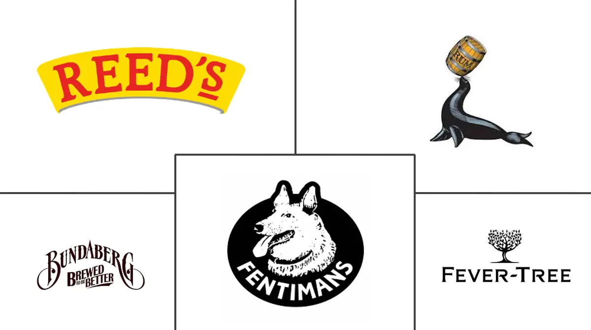 姜汁啤酒市场规模和份额