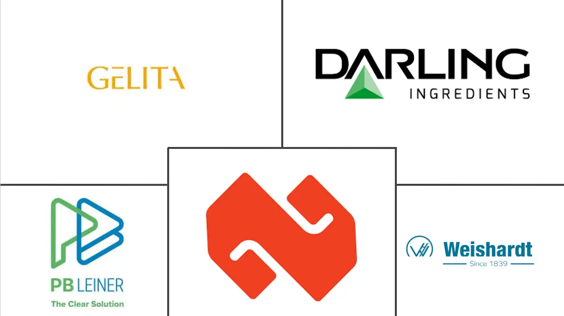 胶原蛋白肽市场规模及份额