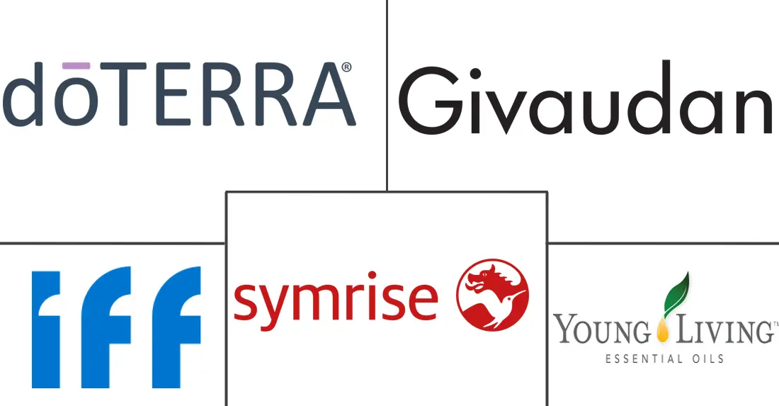 生姜油市场规模及份额