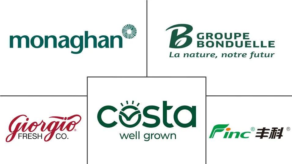 白蘑菇市场规模和份额