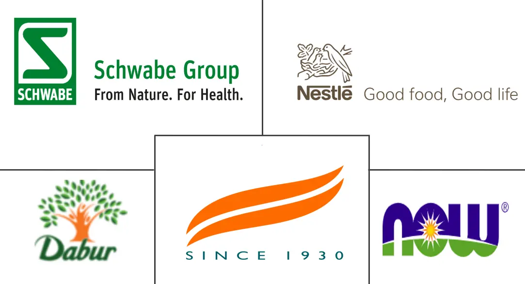 植物补充剂市场规模和份额