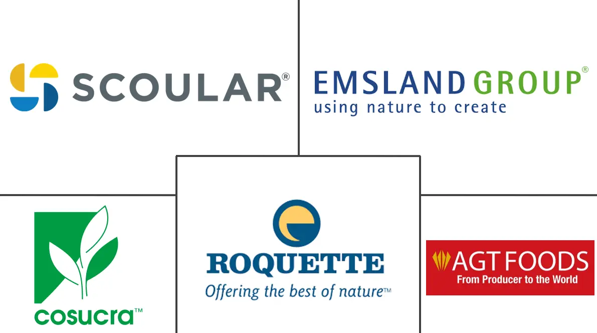 豌豆纤维市场规模和份额