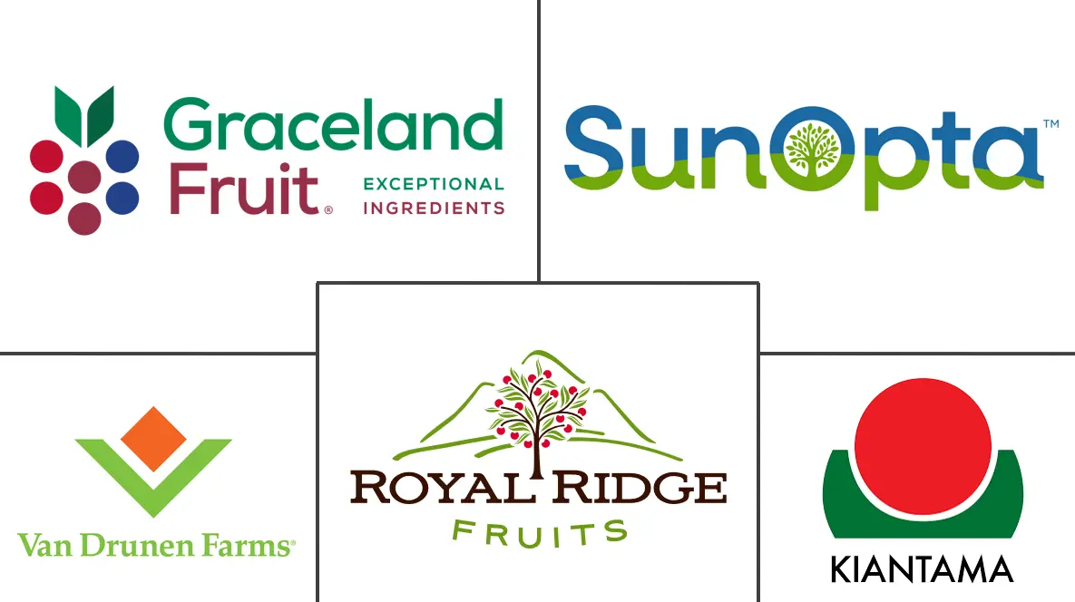 蓝莓干市场规模及份额