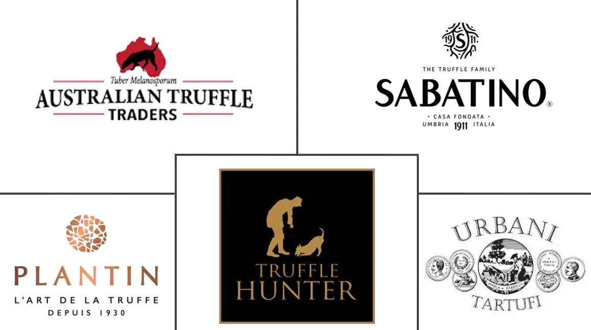 松露市场规模和份额