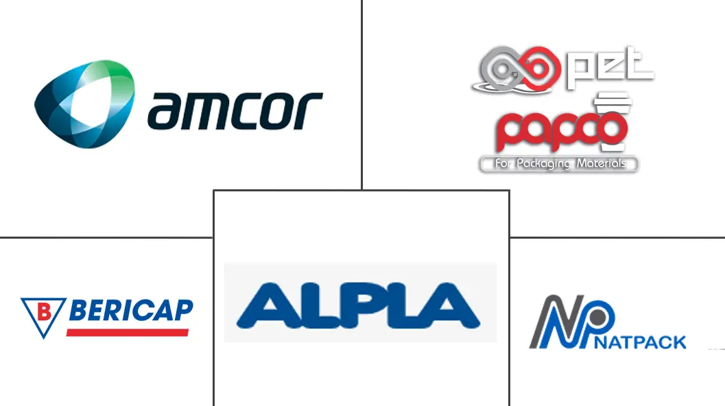 埃及硬质塑料包装市场规模