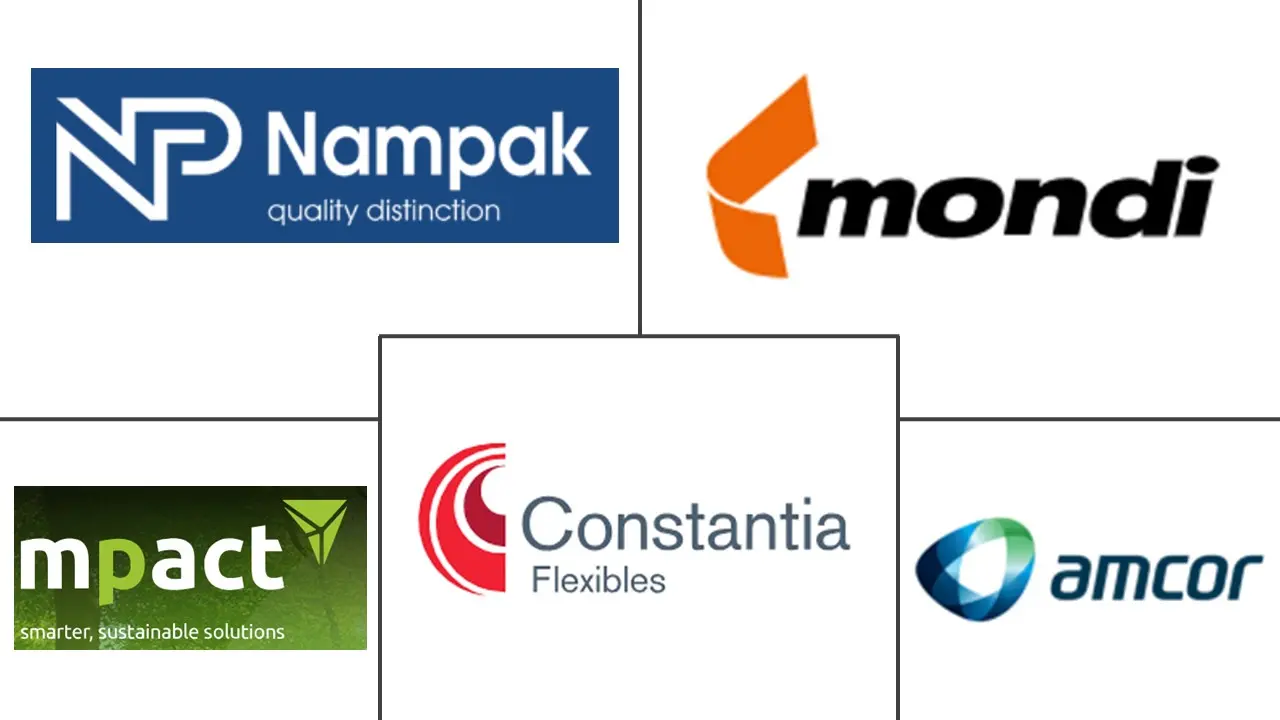 南非塑料包装市场规模和份额分析