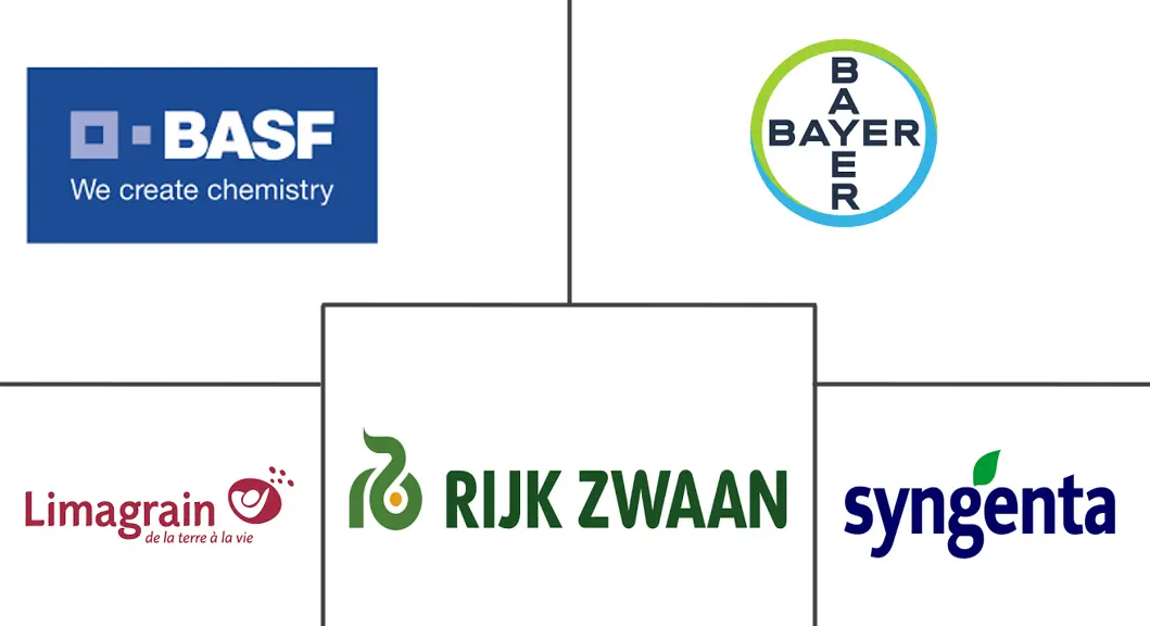 墨西哥蔬菜种子市场规模和份额