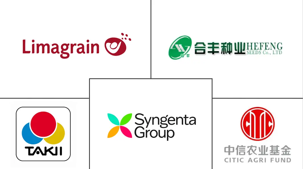 中国蔬菜种子市场规模及份额