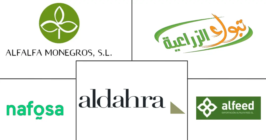 沙特阿拉伯苜蓿干草市场规模和份额