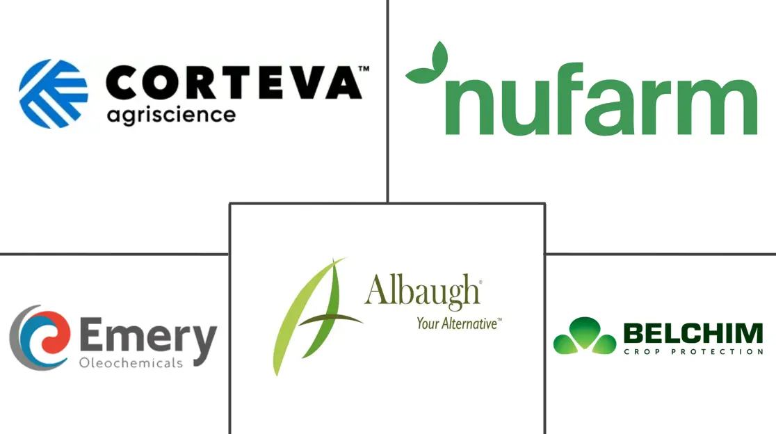 壬酸市场规模和份额