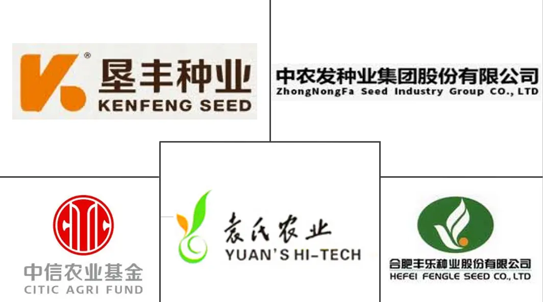 中国水稻种子市场规模及份额