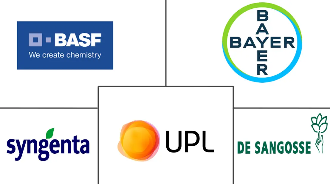 抗凝灭鼠剂市场规模和份额