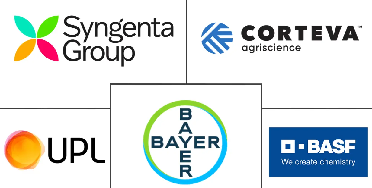 非洲农化市场规模及份额