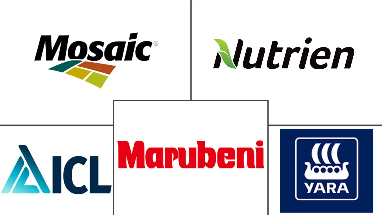 发酵肥市场规模和份额