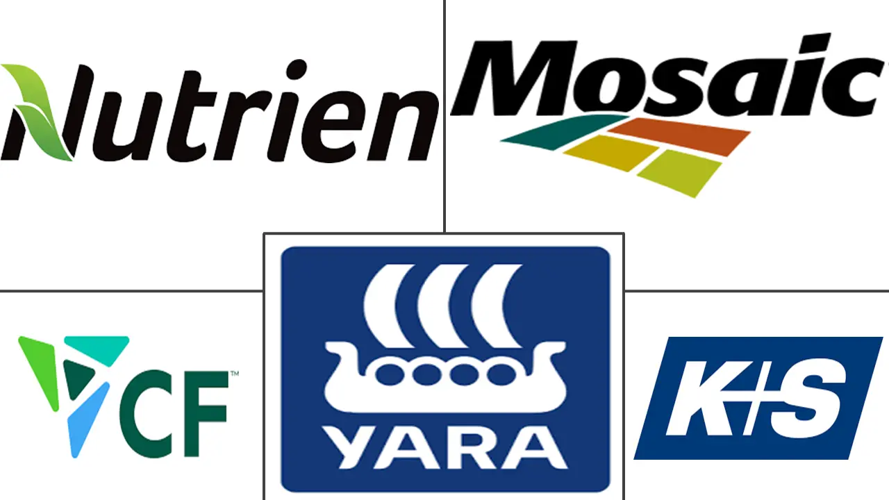 硫肥市场规模及份额