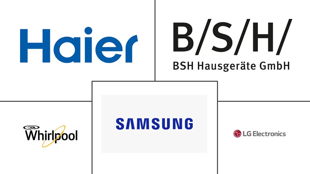 俄罗斯洗衣设备市场规模及份额
