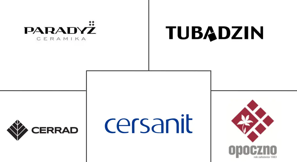波兰瓷砖市场规模及份额