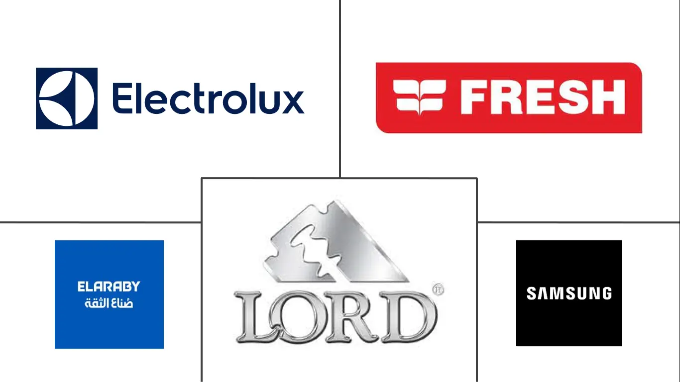 埃及小家电市场规模