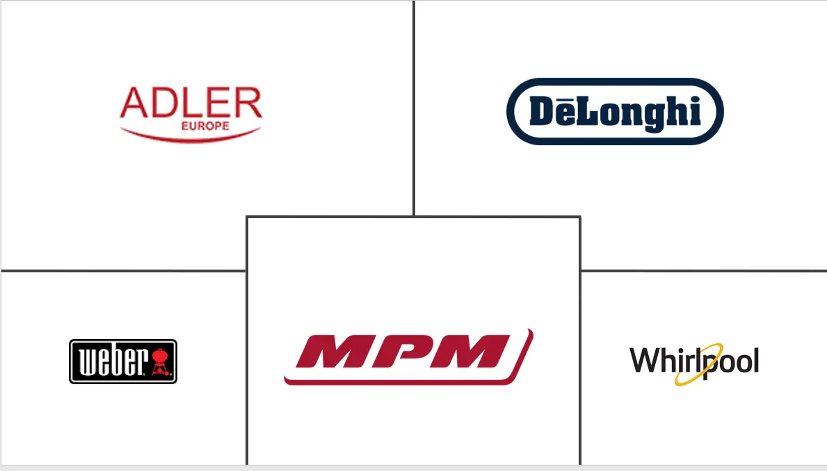 波兰家用电烤架市场规模