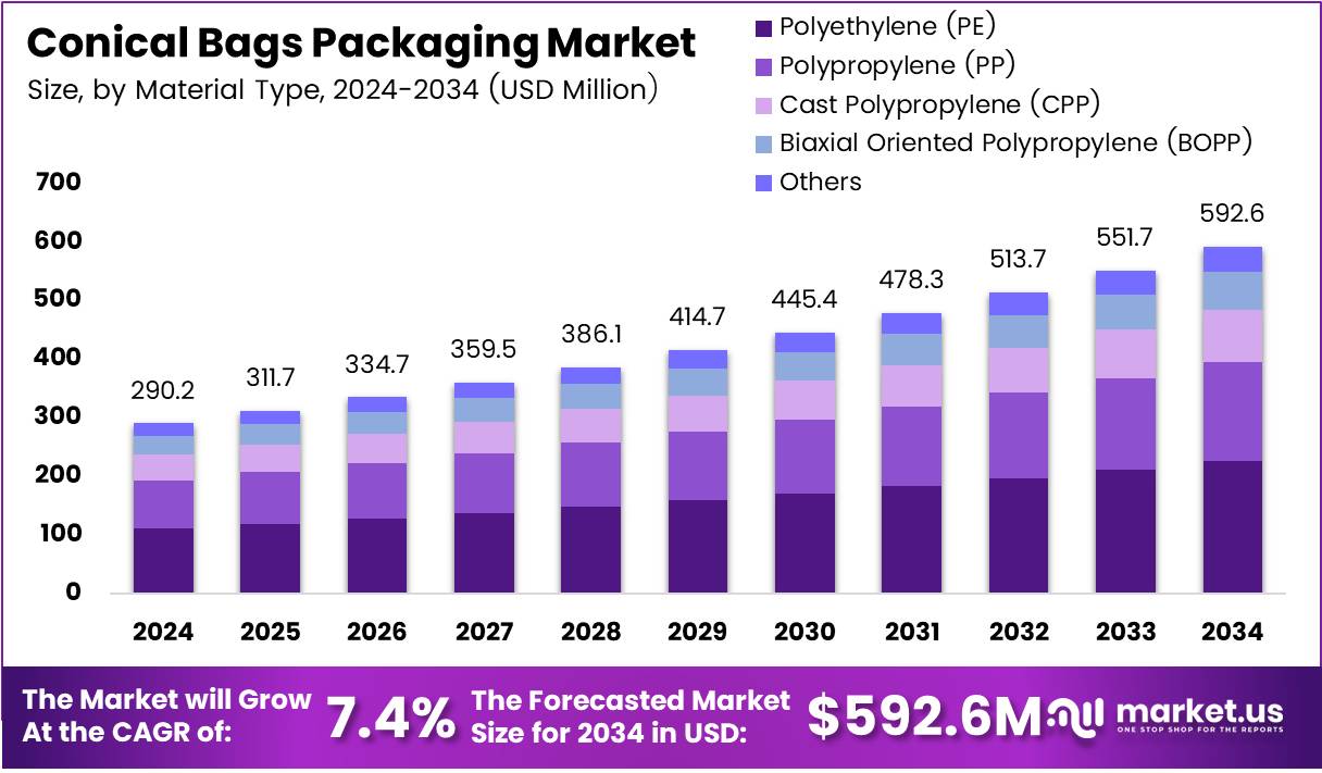 锥形袋包装市场(2025-2034)