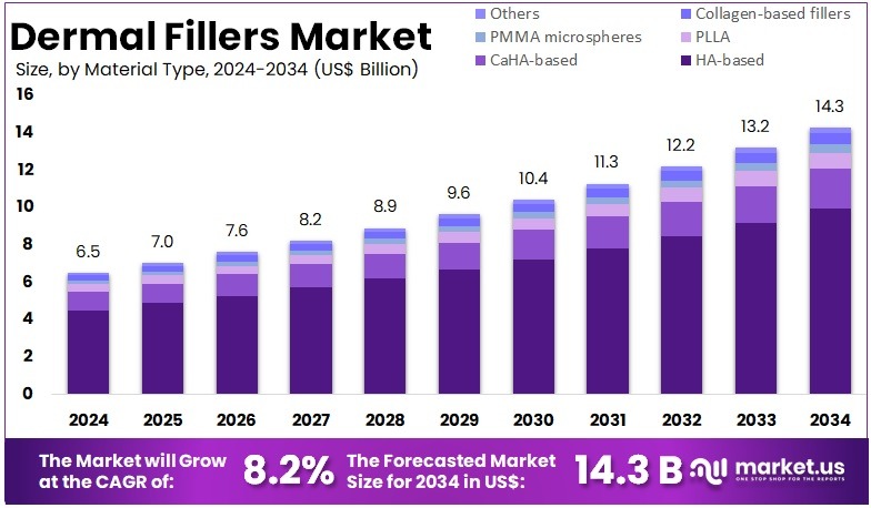 真皮填充剂市场(2025-2034)