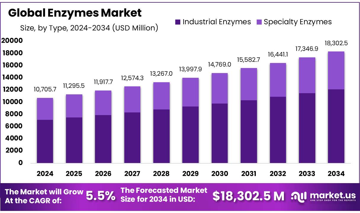 酶市场(2025-2034)