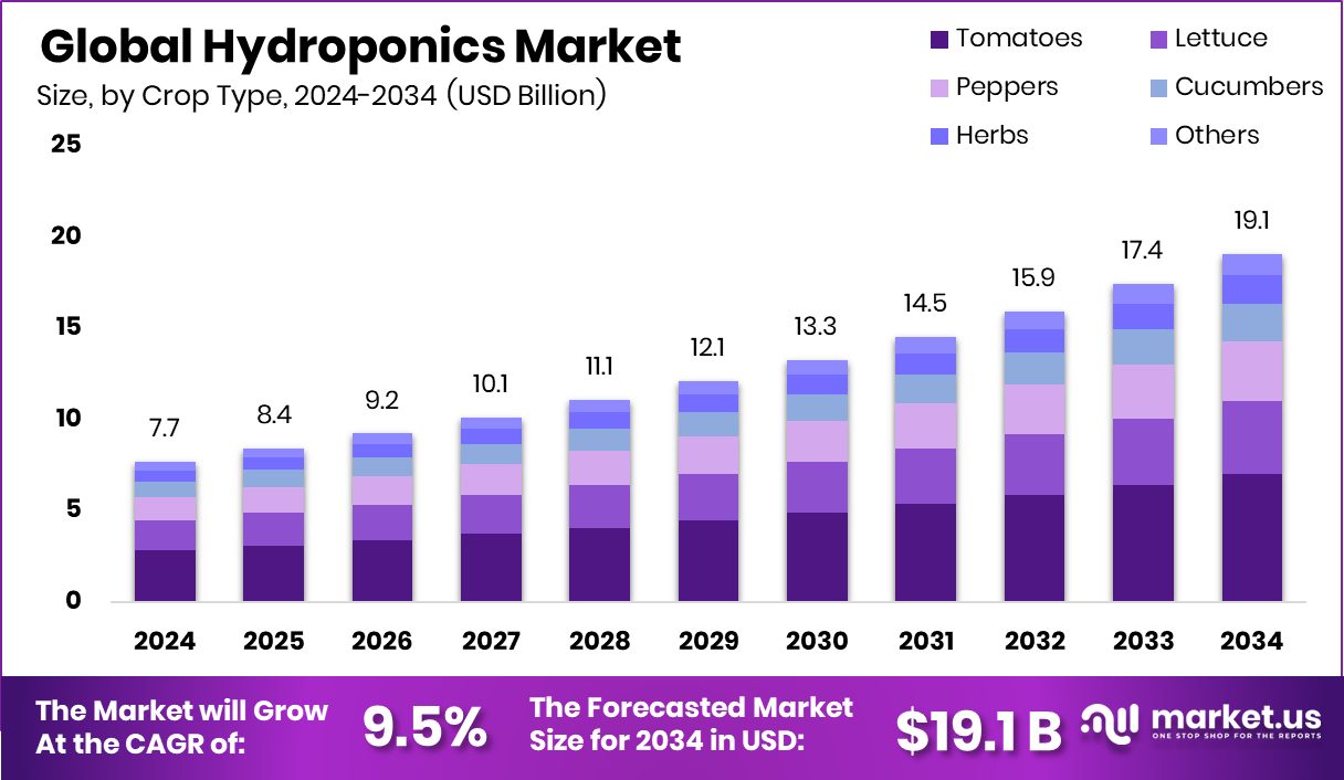 水培市场(2025-2034)