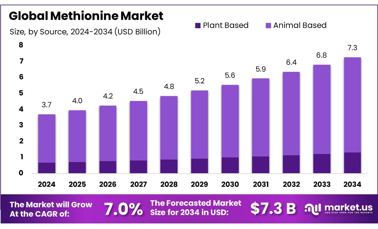 蛋氨酸市场(2025-2034)