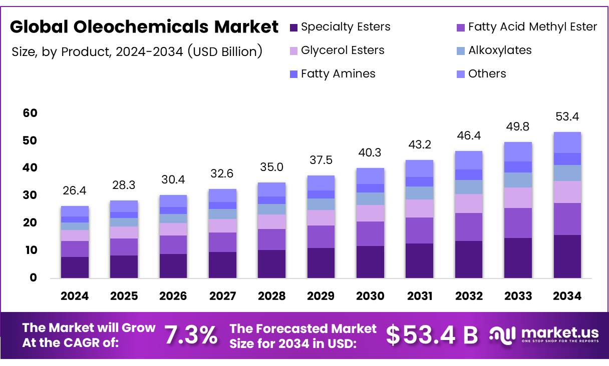 油脂化学品市场(2025-2034)
