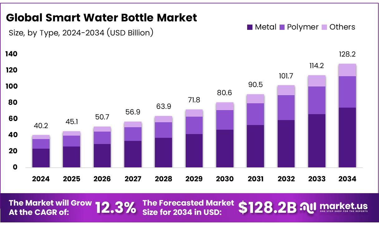 智能水瓶市场(2025-2034)