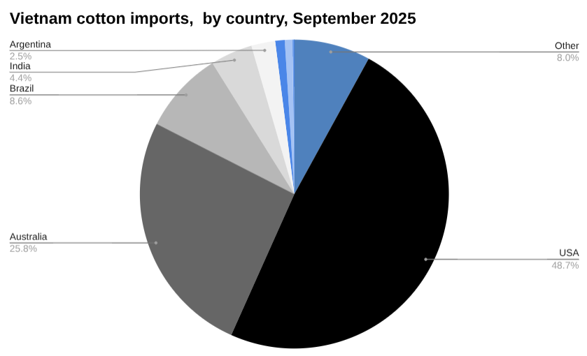 越南棉花饼图进口s，2025 年 10 月（按国家/地区）。