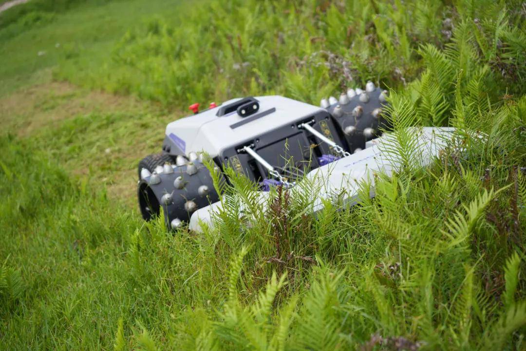 人机共生 · 智启未来——2025高交会亚洲人工智能与机器人产业链展主题发布(图8)