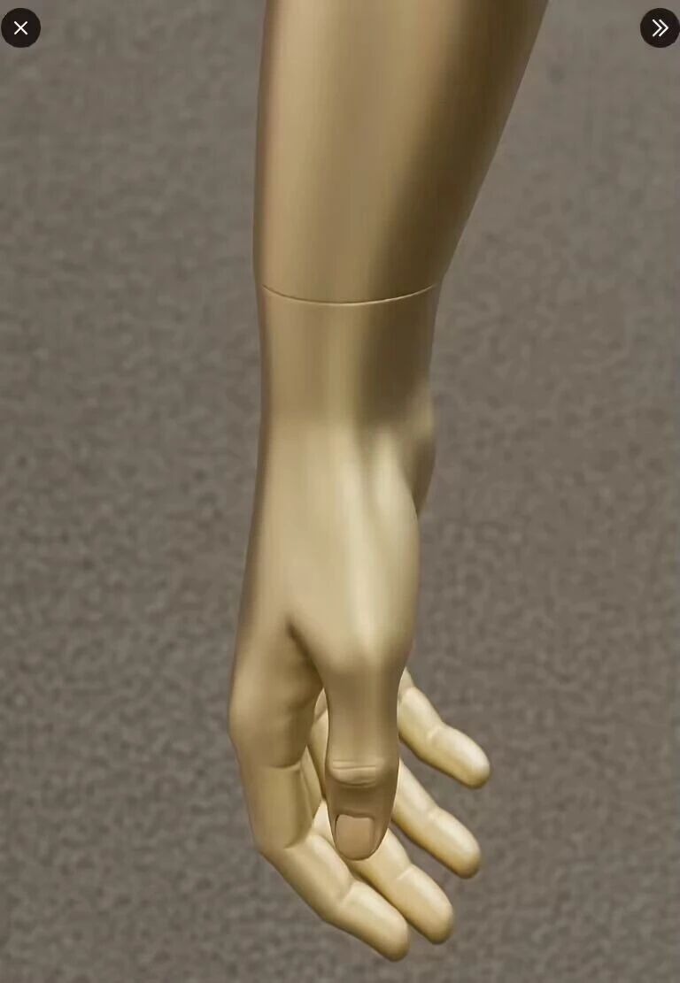 “金色传说”！特斯拉全新人形机器人Optimus第三代曝光？仿生手部引热议(图2)