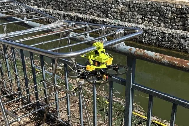 双稳态仿生机器爪从凤仙花种子荚处得到灵感(图3)