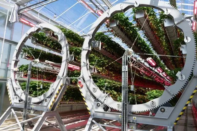 1000磅重的轮子和机器人正在种植戴森草莓(图1)