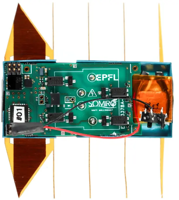 科学家开发出6克重的微型机器人，可以轻松地在狭窄的空间中游泳(图2)