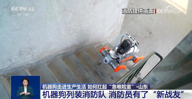 火场救援、南极作业、陪伴护理……这个“机器狗”,大有来头 火场救援、南极作业、陪伴护理……这个“机器狗”,大有来头(图1)