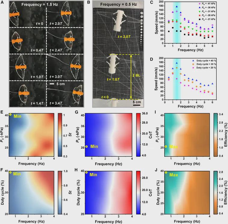 打破复杂水域探测困境！浙大仿生机器鱼登CELL子刊，双游动模式展现卓越环境适应性，负重54倍稳定前行(图6)