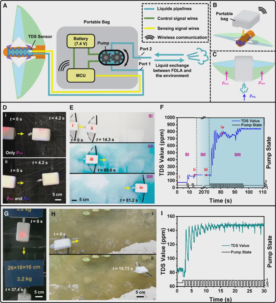 打破复杂水域探测困境！浙大仿生机器鱼登CELL子刊，双游动模式展现卓越环境适应性，负重54倍稳定前行(图11)