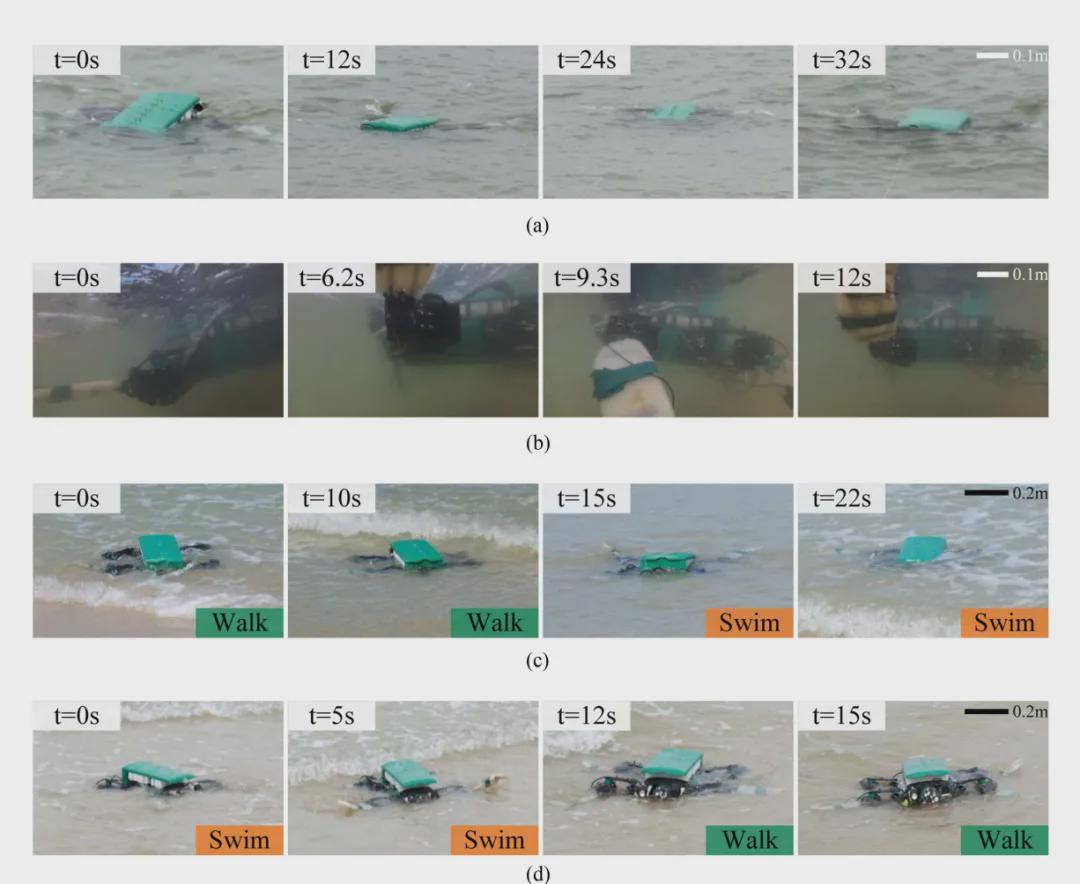 登顶T-RO！清华仿生“海龟”机器人，实现水陆动态环境全自主适应(图7)