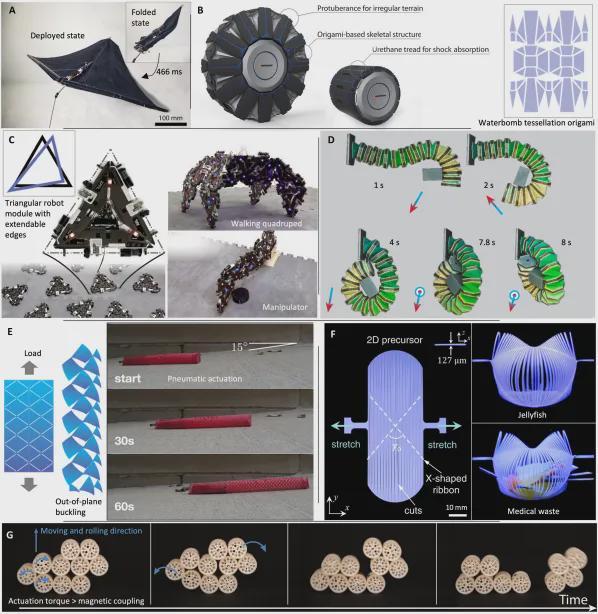 绕过大脑思考，超材料机赋予机器人身体本能！ | Science Robotics(图5)