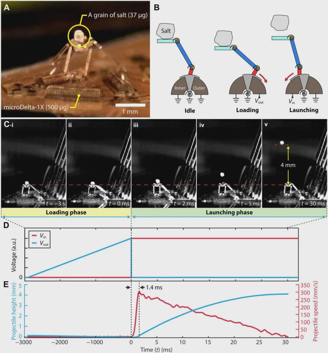 全球“最小”Delta机器人！3D打印而成，论文登顶《Science Robotics》(图7)