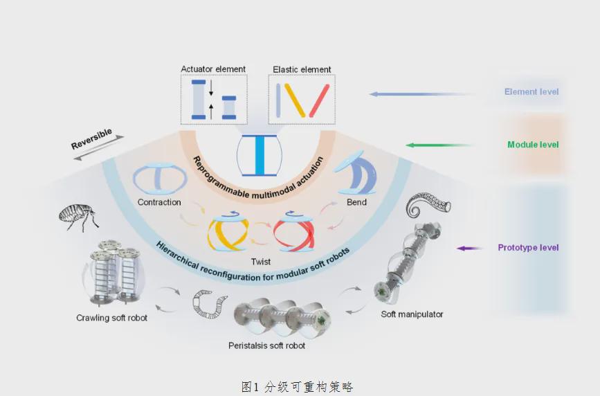 电阻网络+折纸力学，这款可编程折叠组件让机器人拥有了“形态自由”(图1)