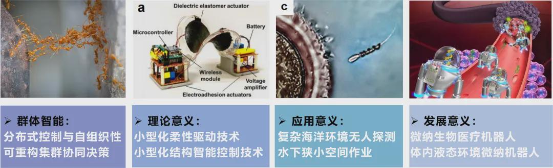 T-RO收录！清华团队可编程平台实现磁流体液滴机器人微尺度 “群体智能” 突破(图1)